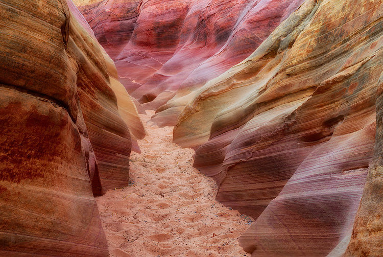 Pink Canyon, Valley of Fire State Park